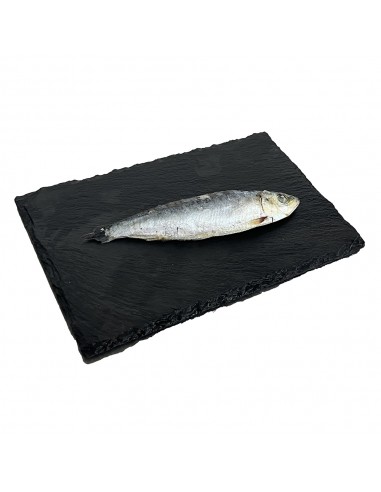 SARDINA DE LA COSTA ENTERA