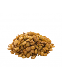 LENTEJA PARDINA COCIDA